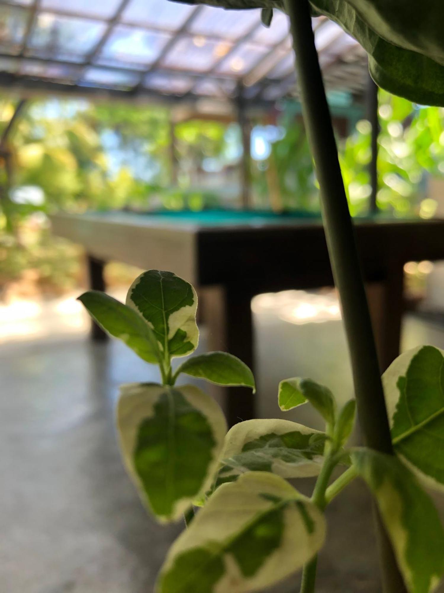Wae Molas Hotel Labuan Bajo Exteriér fotografie